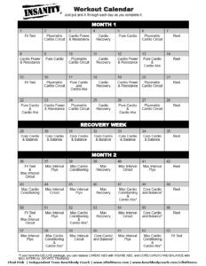 insanity schedule pdf zillafitness