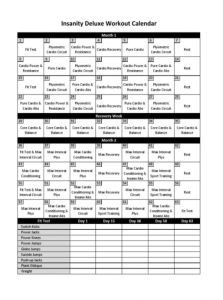 insanity workout calendar free pdf download