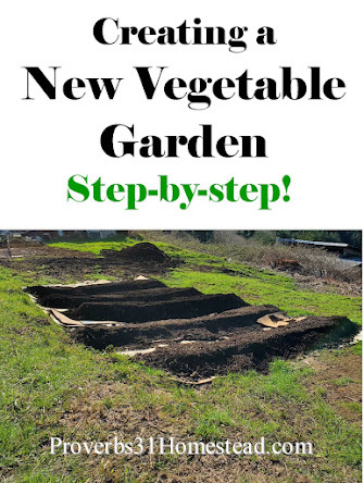 Creating a New Vegetable Garden - Step by Step