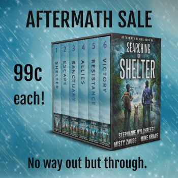 Aftermath post apoc sale