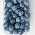 Blueberries No 1