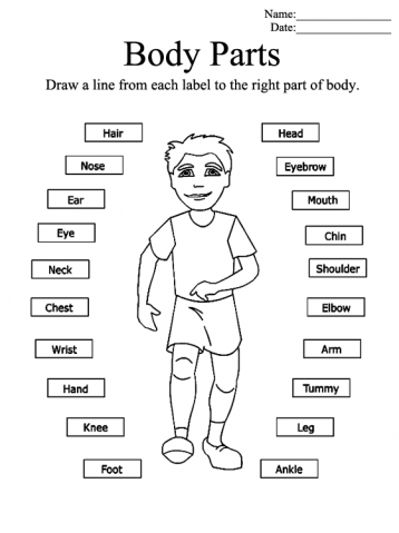10 free printable kindergarten worksheets