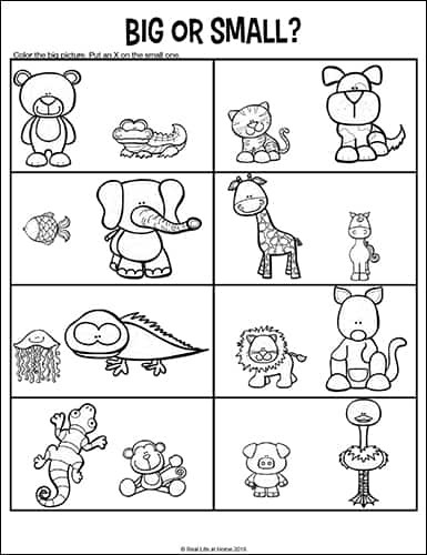 opposites worksheets for kindergarten and preschool antonyms worksheets