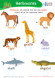 kindergarten science worksheets and free printables