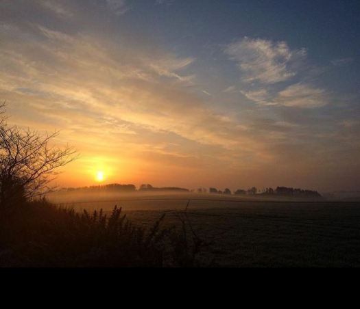 misty mornings