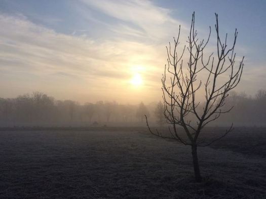 misty mornings