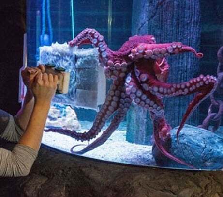 May be an image of 1 person and indoor