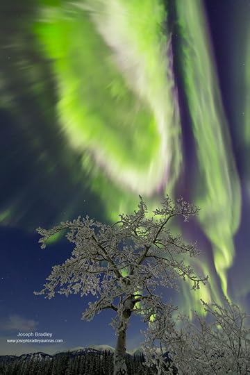 Alaskan seismometers detect aurora activity Science