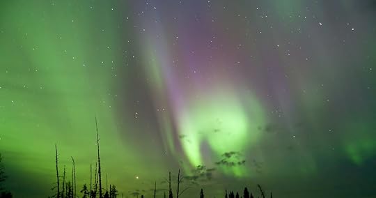 Science and Technology Aurora borealis, Drayton Valley