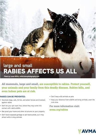 world rabies day on Tumblr