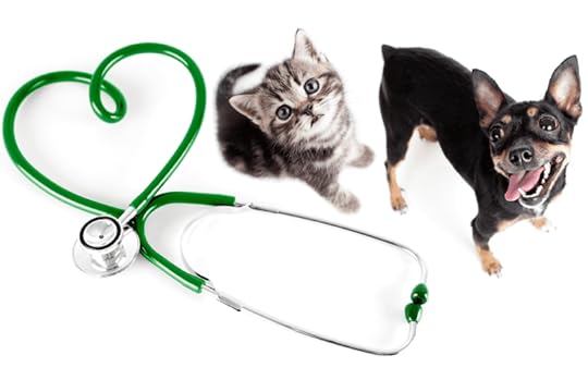 Dog walking, dog walks, care, puppy training, pet care