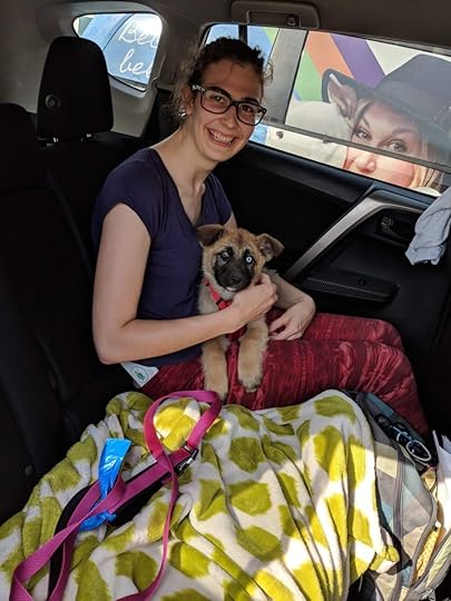 Sweet Eli finds a new home through the Ontario SPCA Animal