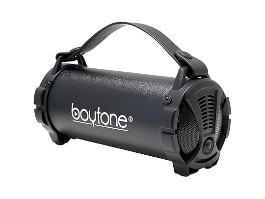Boytone BT38BK Portable Bluetooth Indoor/Outdoor Speaker