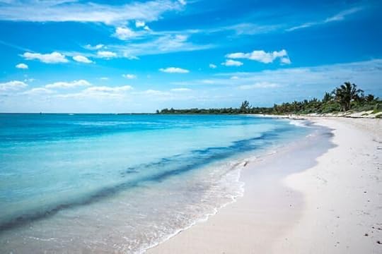 mexico beach playa del secreto