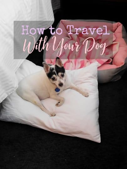 Traveling with your dog is not always cheap, or easy, but with a little bit of prep, you can make it more enjoyable for everyone.
