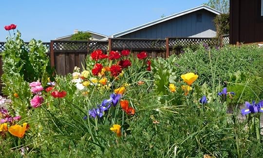 Things we love about spring! Vinnie's garden