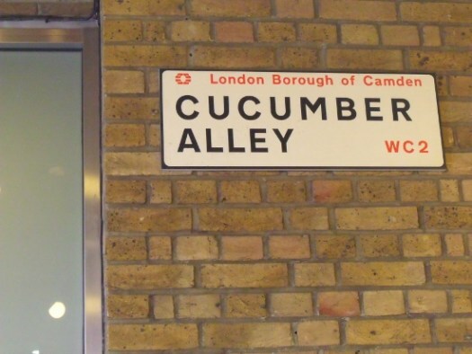 Cucumber Alley, London. Ailish Sinclair | Author