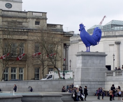 blue cockrel in Trafalgar Square, London. Ailish Sinclair | Author