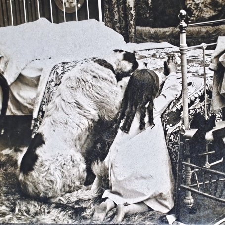 while a child prayed...