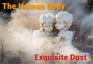 The human body. Exquisite complex dust of the ground