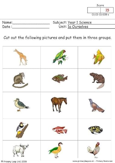 17 best images about 1st grade animal unit on pinterest