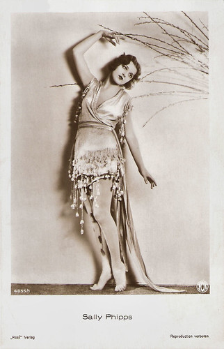 Sally Phipps