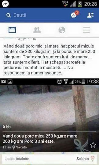 16831883_998496976961695_6152626222299006605_n