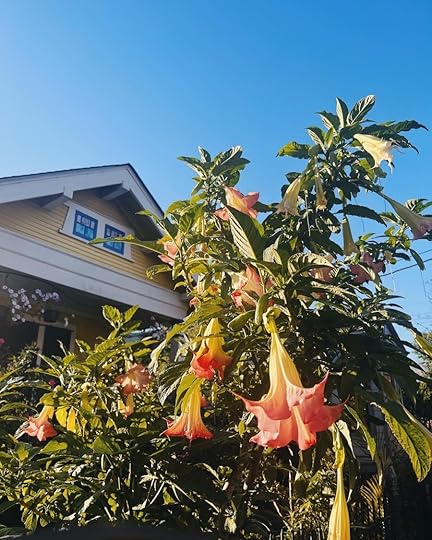 Let It Be Sunday, 367!