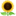 🌻
