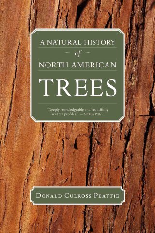 How to Face the Centuries with Confidence: The Mystery of the World’s Most Majestic Tree