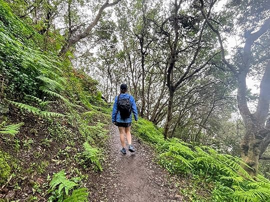 Altra Lone Peak 6 womens trail shoes in testing
