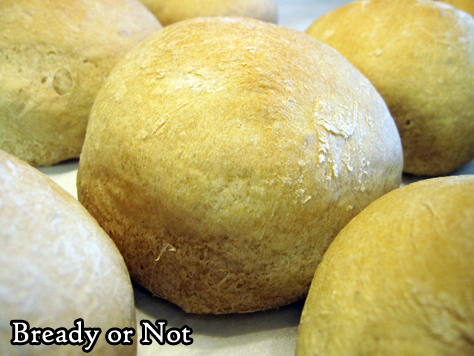Bready or Not: Bread Machine Beer Bread Rolls