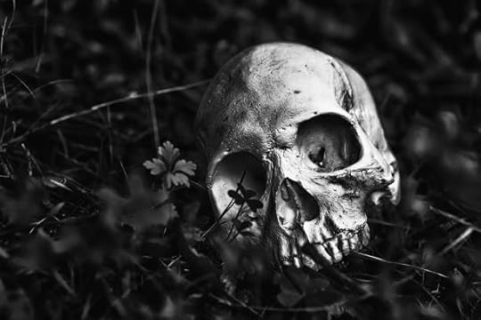 https://media.istockphoto.com/photos/partly-dug-up-human-skull-picture-id1162519863?k=20&m=1162519863&s=612x612&w=0&h=zitjRZidw4Kj9sRzXaCZs2EEd4MXCxnYf3gCYJSojCo=