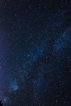 This contains an image of: Marta Cors Photography