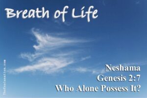Breath of life. Genesis 2:7. Who alone possess it?