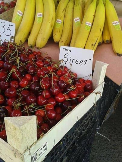 12272895_1107906232582819_330953725_n