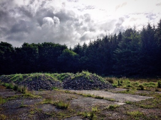 Demolished building in Lenabo Woods