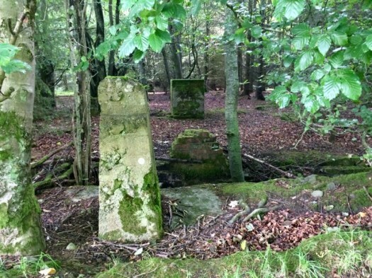 Building remains on Lenabo Woods