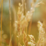 How you can Ask a Girl If We Happen to be Dating – How to Make the best First Impression