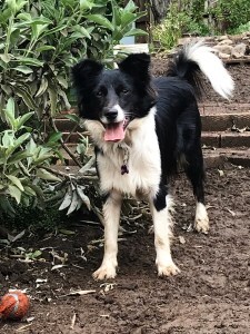 Sophie, looking cute