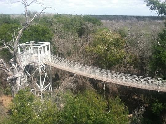 Alamo Tourism (2020) Best of Alamo, TX Tripadvisor
