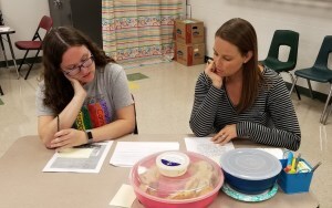 Using Collaborative Strategies to Retain New Teachers AND Their Mentors