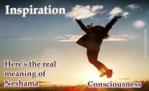 Inspiration is not the best meaning of neshama. Try consciousness.