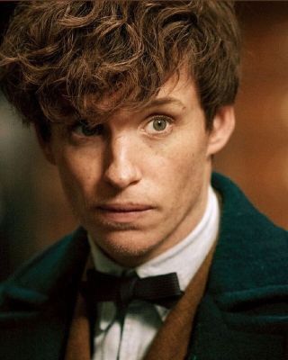 Pickett-Newt Scamander- Fantasic Beasts | Multifandom Imagines