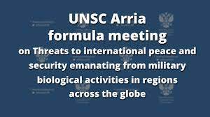 UN Security Council ...