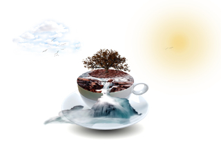 Coffee (2)