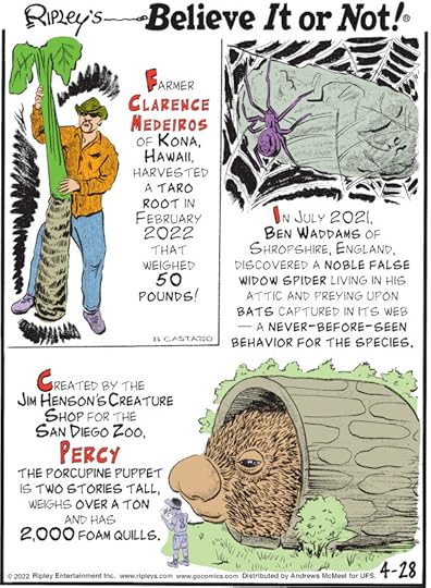 1. Farmer Clarence Medeiros of Kona, Hawaii, harvested a taro root in February 2022 that weighed 50 pounds! 2. In July 2021, Ben Waddams of Shropshire, England, discovered a noble false widow spider living in his attic and preying upon bats captured in its web - a never-before-seen behavior for the species. 3. Created by the Jim Henson's Creature Shop for the San Diego Zoo, Percy the porcupine puppet is two stories tall, weighs over a ton and has 2,000 foam quills.