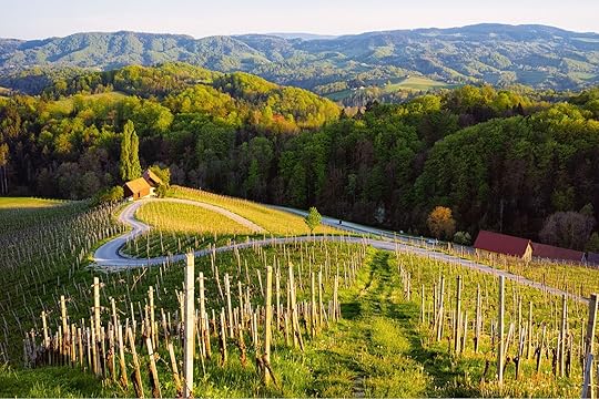 slovenia's wine country