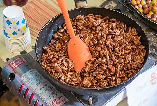 where-to-try-beondegi