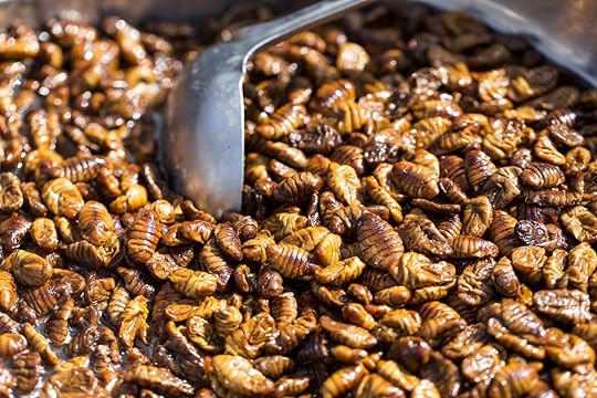 Beondeg, silkworm larvae